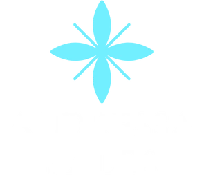 logoandressa.webp logoandressa.webp